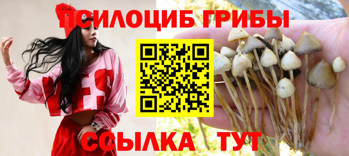 Галлюциногенные грибы мицелий Тольятти