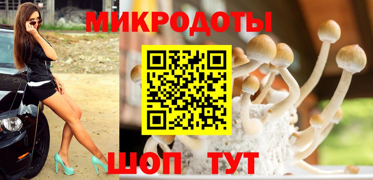 Псилоцибиновые грибы прущие грибы  Вход с VPN  Тольятти 